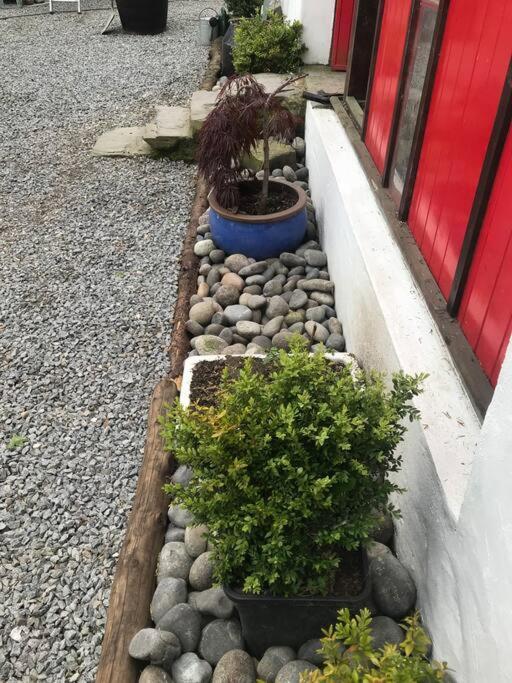 Stone Wall Cottage Castlewellan Exterior photo